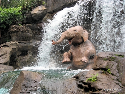 elephant-waterfall